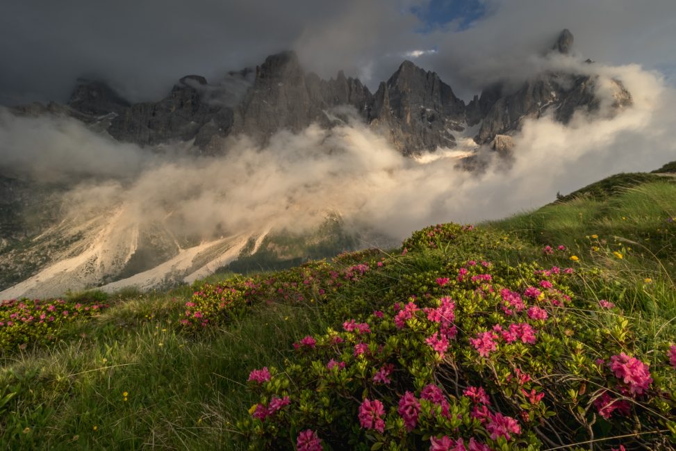 Panorama estivo Dolomiti Pase di San Martino